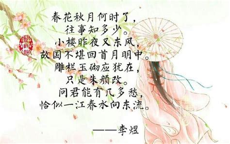 純白背景圖 春花秋月何時了